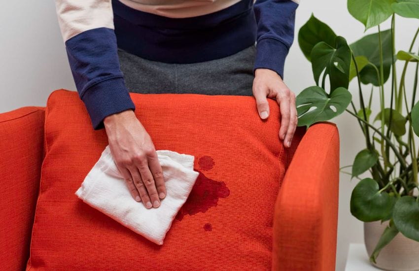 Spot Clean The Stains Sofa Upholstery