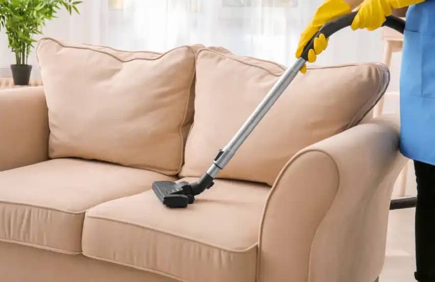 Tips and Tricks For Cleaning and Maintenance Of Sofa